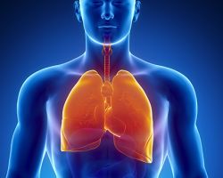Respiratory / Immune System Health